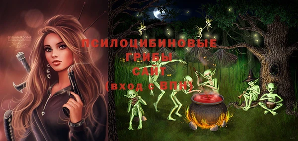 винт Вяземский