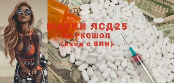 шишки Белая Холуница