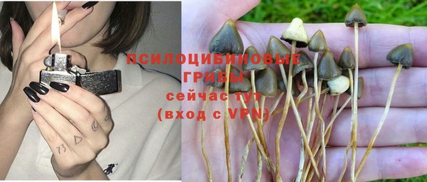 a pvp Гусиноозёрск