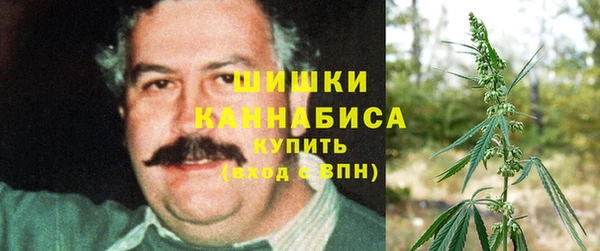 винт Вяземский