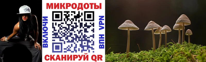 МЕГА ссылки  Ершов  Псилоцибиновые грибы ЛСД 